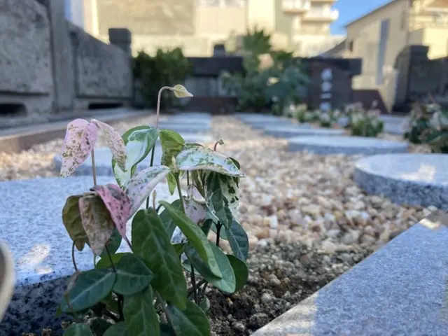 プレミアム古河駅前樹木葬墓地_3