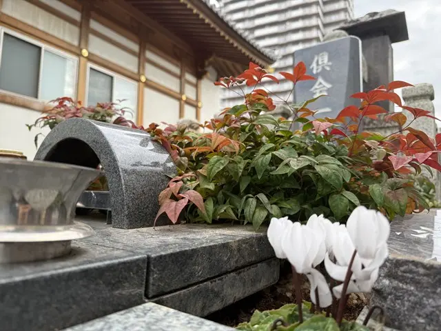 プレミアム古河駅前樹木葬墓地_8