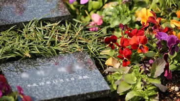 白崎プレイガーデン_3