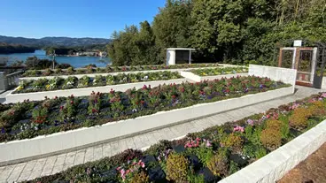 白崎プレイガーデン_4