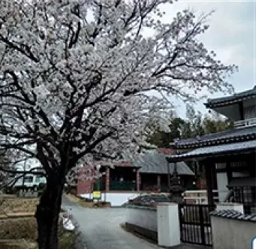 正源寺　樹木葬墓地_6