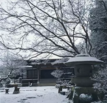 正源寺　樹木葬墓地_5