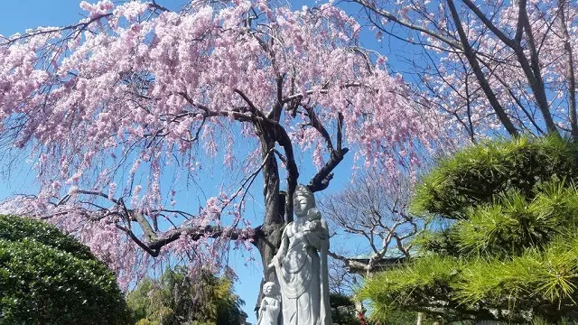 充国寺_6