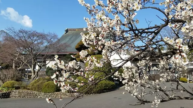 充国寺_5