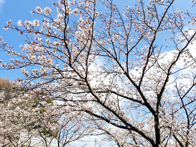 町田いずみ浄苑（東京都町田市）【見学レポート】12