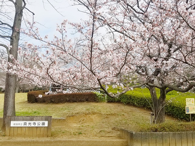 町田いずみ浄苑（東京都町田市）【見学レポート】30