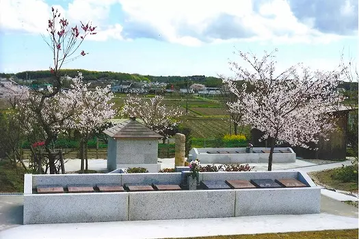 桜葬墓園_3