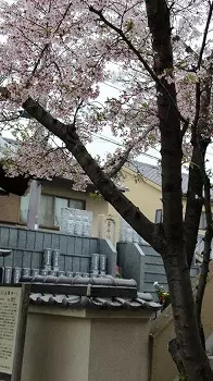 法園寺　永代供養墓_3