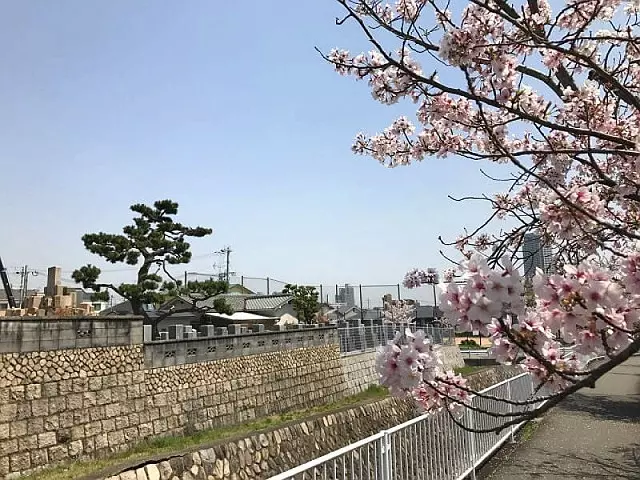 石屋墓園_8