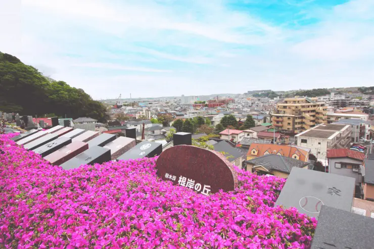 磯子霊園樹木葬墓地　「根岸の丘」・「慈照苑」_1