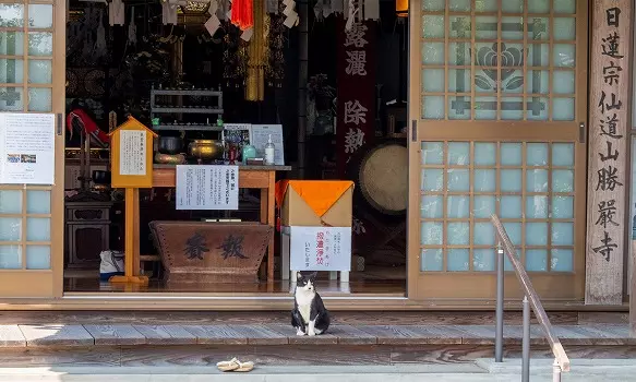 勝嚴寺　永代供養墓・樹木葬_10