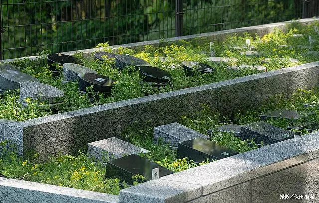 花岡山天空樹木葬_3