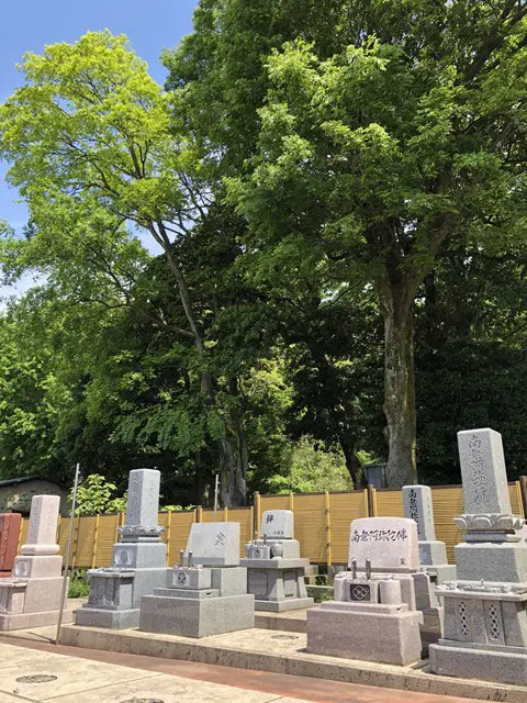 金沢メモリアル凛殿_9