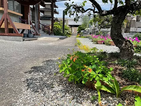 見松寺　のうこつぼ_4