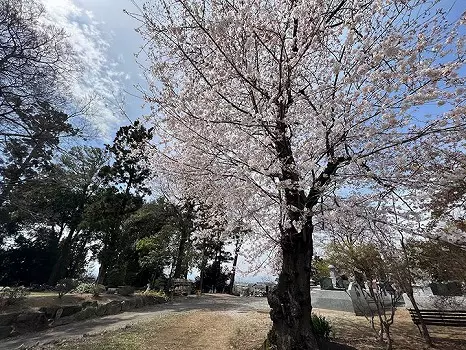 龍昌院　のうこつぼ_5