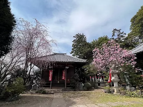 龍昌院　のうこつぼ_4