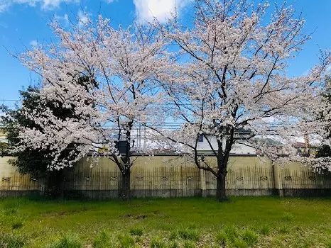 長命寺　のうこつぼ_6