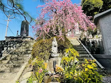 瑞泉寺　のうこつぼ_4