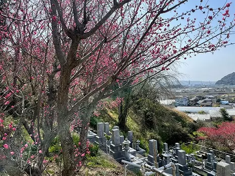 瑞泉寺　のうこつぼ_5