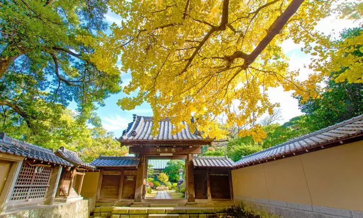 霊山寺　永代供養墓・樹木葬_12