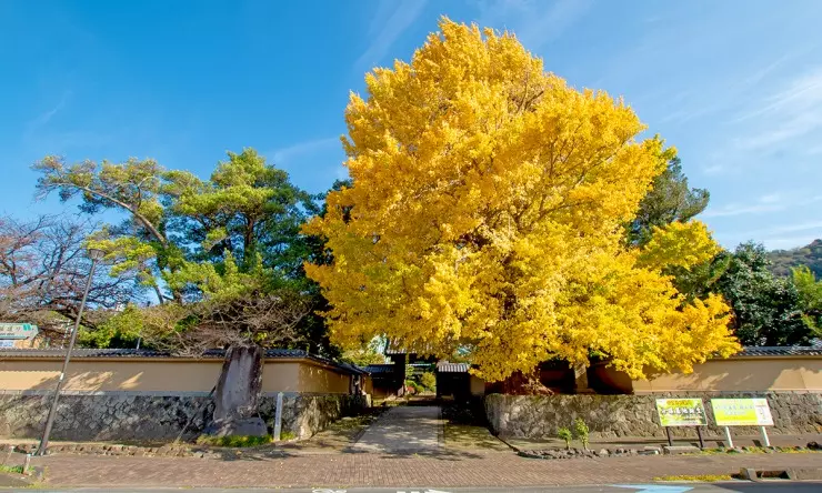 霊山寺　永代供養墓・樹木葬_13