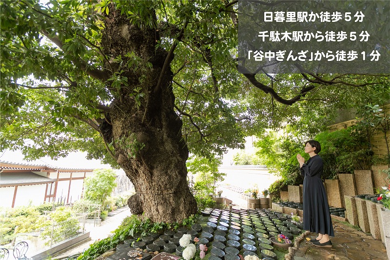谷中樹陵 久遠・長明寺樹木葬