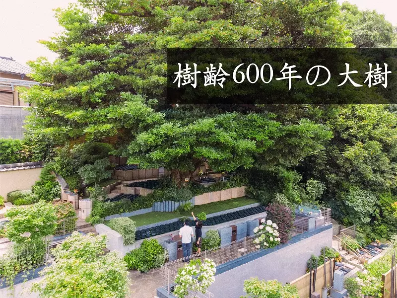 谷中樹陵 久遠・長明寺樹木葬_6