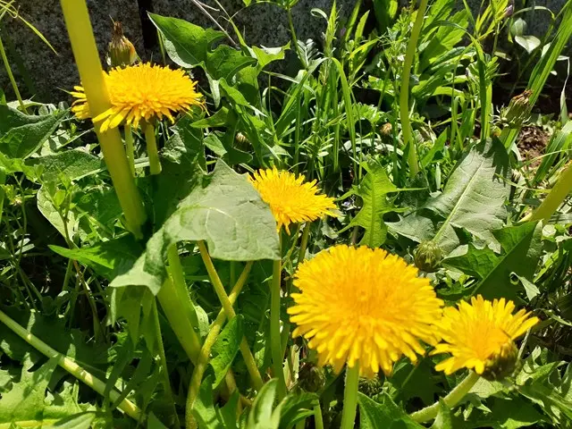 寿光墓苑・自然葬墓_3