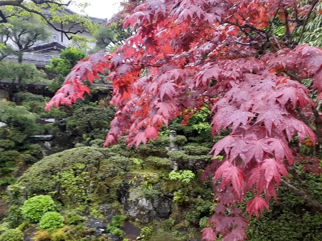 寿光墓苑・自然葬墓_4