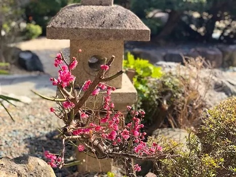 吉祥寺　永代供養塔_9