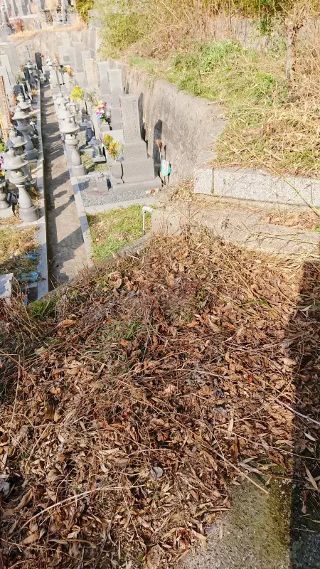 仁保本浦観音寺墓地_4