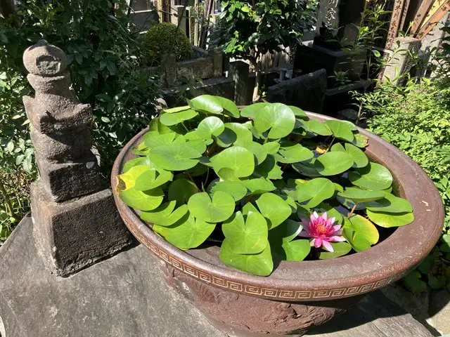 白金こもれびの杜　樹木葬「わごころ」_14