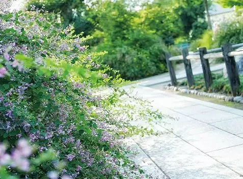 庭園墓　尾張萩の寺「花樂苑」_9