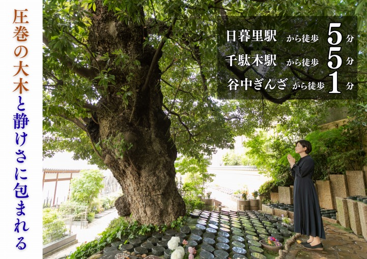 谷中樹陵 久遠・長明寺樹木葬 谷中樹陵 久遠・長明寺樹木葬
