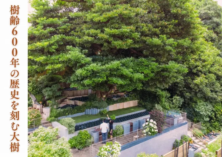 谷中樹陵 久遠・長明寺樹木葬_6