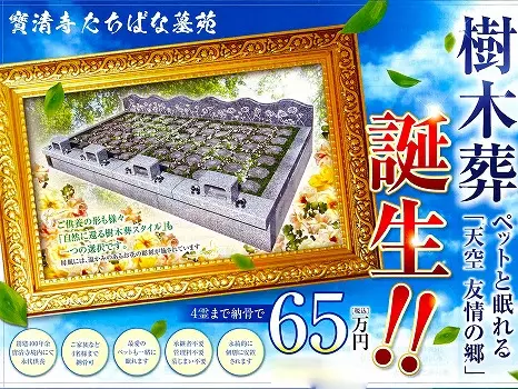 寶清寺　樹木葬_4