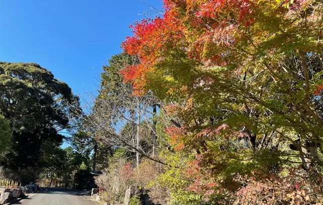 花の寺　豊川荻樹木葬墓地_10