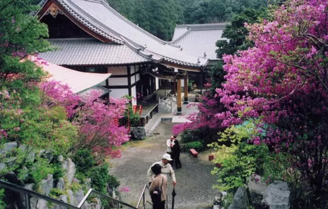 花の寺　豊川荻樹木葬墓地_6