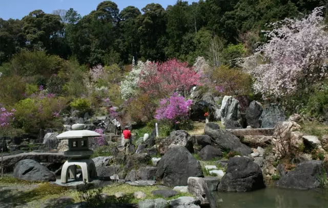 花の寺　豊川荻樹木葬墓地_8