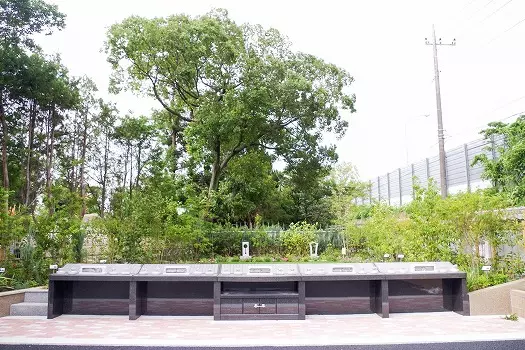 さくら聖地霊園　定勝寺樹木葬「聖」_4