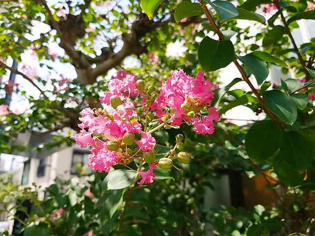 サニープレイス福寿園　園内風景