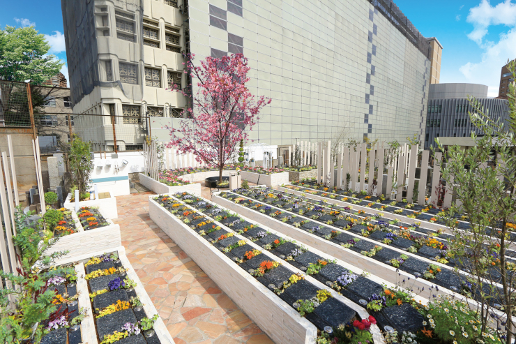 早稲田宝泉寺 樹木葬・納骨墓