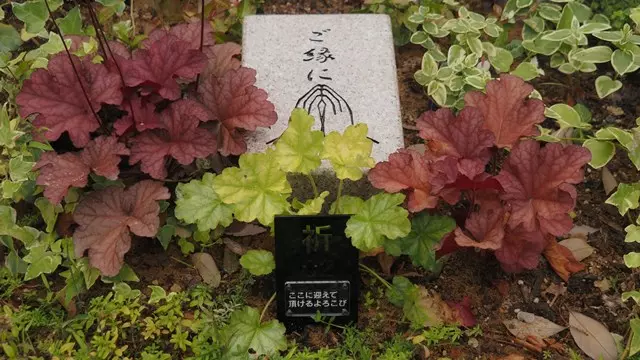 niwabo・安楽寺樹木葬_6