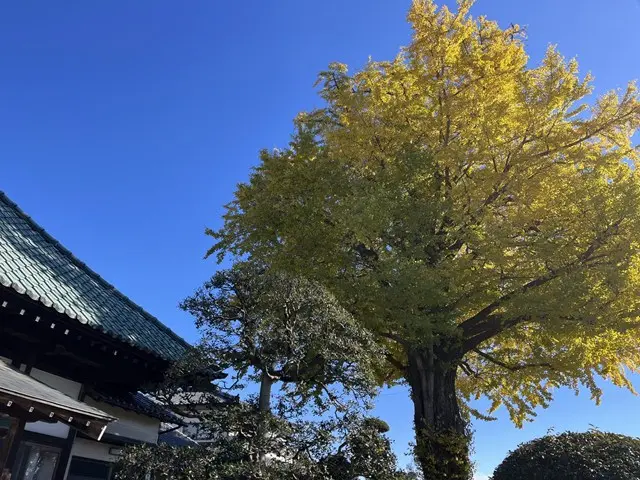 越谷大イチョウ堂　樹木葬・納骨堂_5