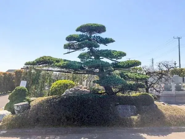 光善寺　青光苑樹木葬・永代供養墓_8
