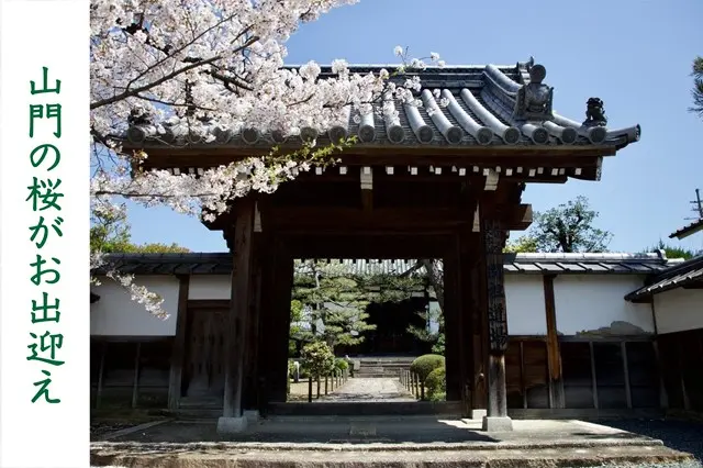 伏見桃山の森・海宝寺樹木葬_6