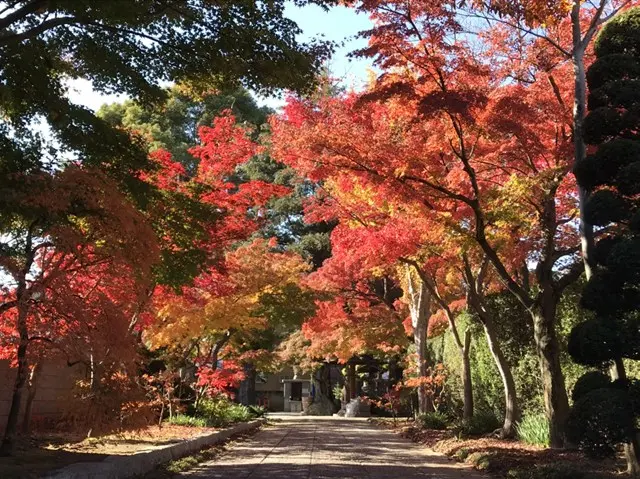 勝林寺　納骨霊廟・樹木葬_4