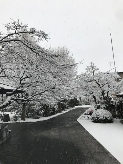 勝林寺　納骨霊廟・樹木葬_5