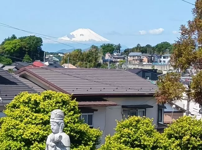 ロイヤル藤沢長後樹木葬墓地_4
