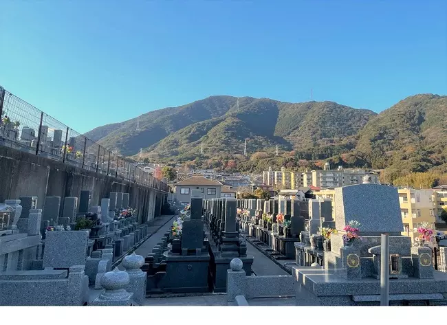 緑町墓地 　樹木葬「緑風の丘」_5